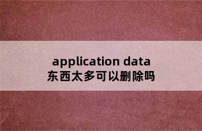 application data东西太多可以删除吗